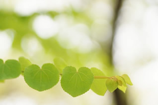 給排水・衛生・空調設備の維持管理