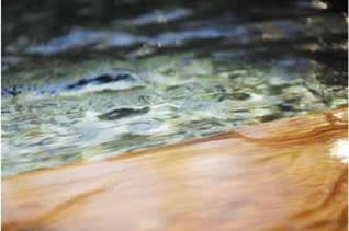 レジオネラ菌対策