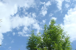 廃棄物（中間・最終）処理施設 運営管理